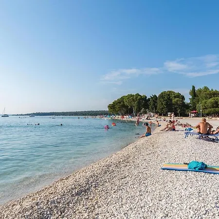 Pet Friendly In Vodnjan With Wifi Apartment *